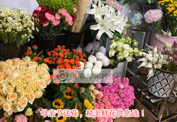 2024上海杨浦区母亲节送花,上海杨浦区精美鲜花供您选!